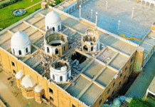 भारत की ब्रह्मोस मिसाइल ने पाकिस्तान में मचाई तबाही, पाक एयरफोर्स के पूर्व चीफ ने खुलासा किया